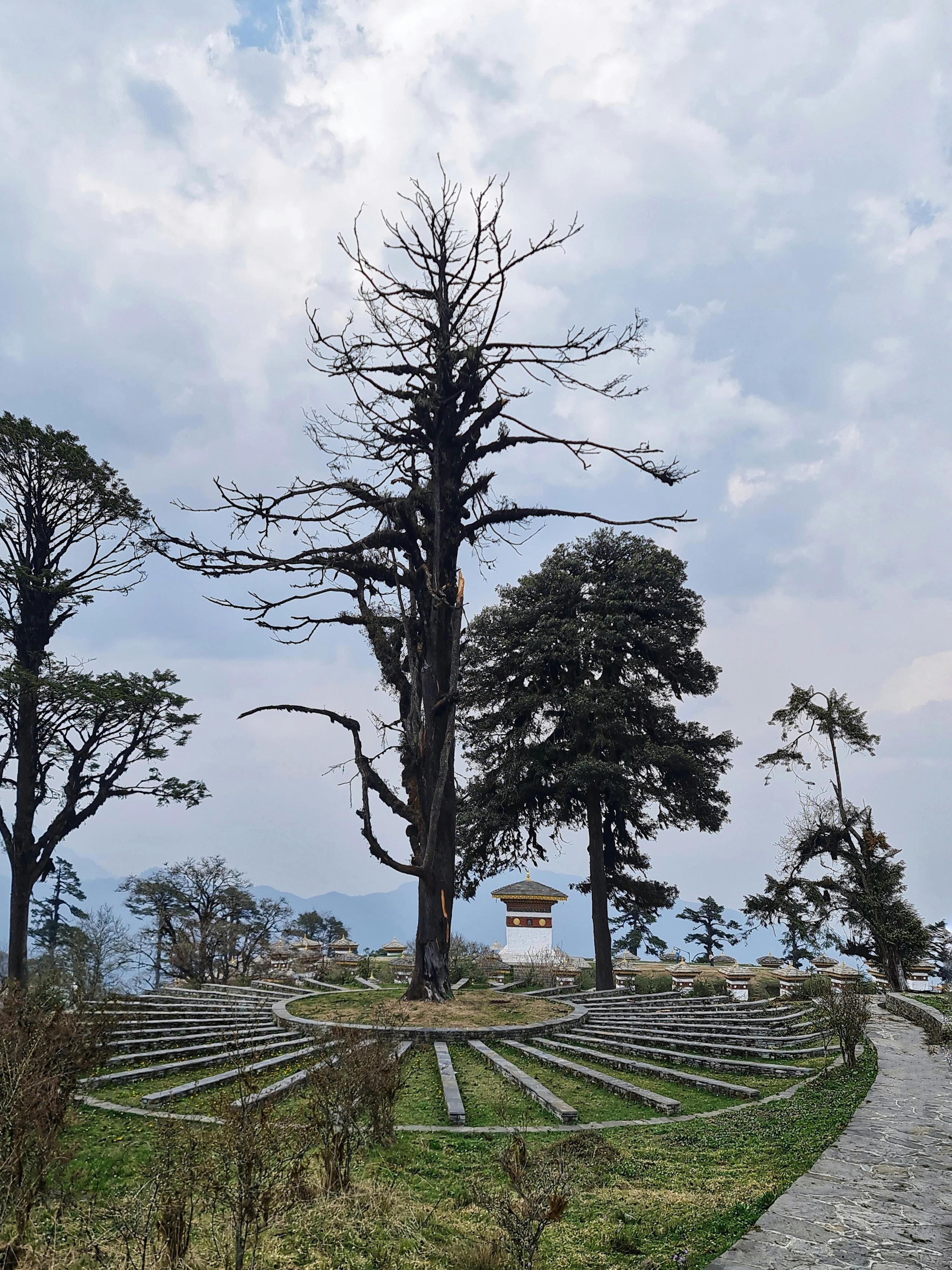 diffcult image that i coudn't create on code and pasted the image instead