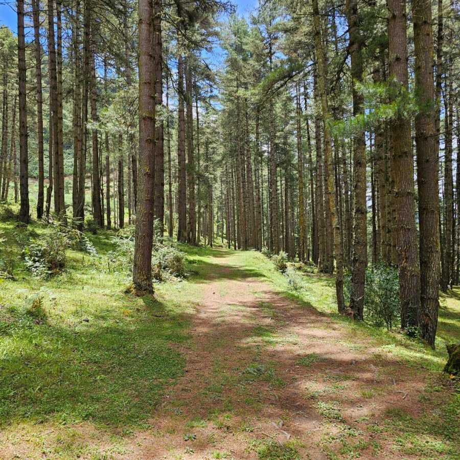 gangtay-vallay-walking-tour3 (1)
